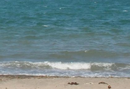 Зловеща находка изхвърли морето край Варна (СНИМКА 18+)