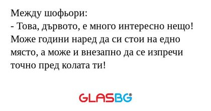 Между шофьори: - Това, дървото...