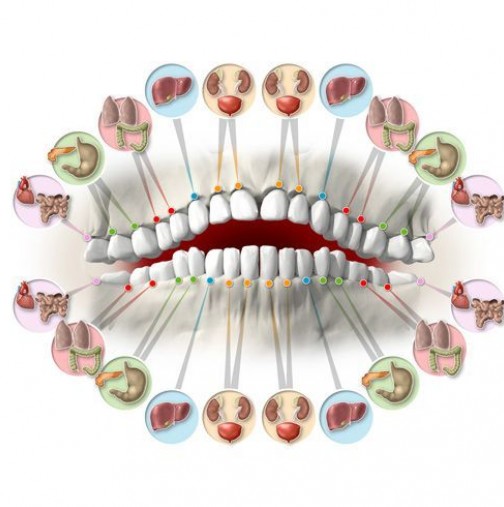 Всеки един зъб е свързан с орган в тялото! Болките във всеки зъб предвещават проблеми в определен орган-Имайте предвид това