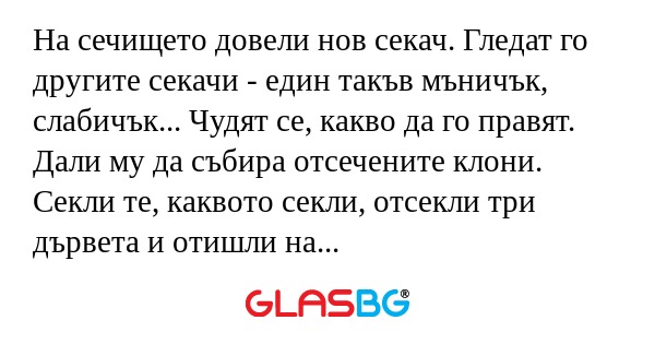 На сечището довели нов секач. Гледат...