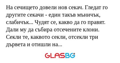 На сечището довели нов секач. Гледат...