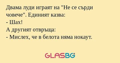 Двама луди играят на "Не се сърди...