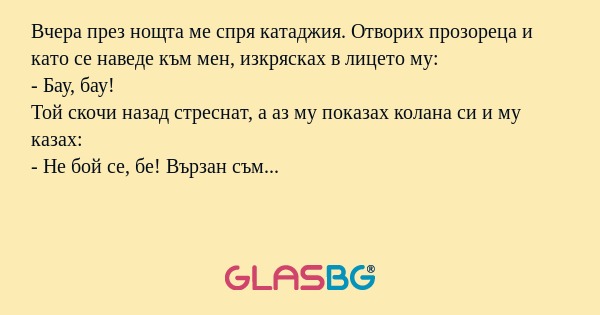 Вчера през нощта ме спря катаджия. Отворих прозореца и като се наведе към мен, изкрясках в лицето му:
- Бау, бау!
Той скочи назад стреснат, а аз му показах колана си и му казах:
- Не бой се, бе! Вързан съм...
