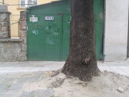 Антоанета спря пред гараж с дърво и й нарязаха гумите СНИМКИ