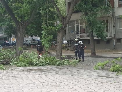 Бурята стовари клон върху дачия до Гранда СНИМКИ