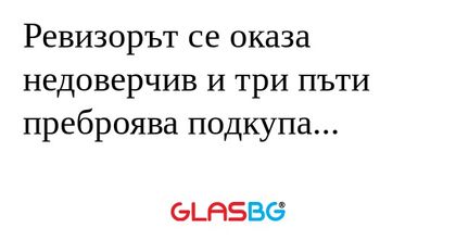 Ревизорът се оказа недоверчив и...