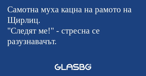 Самотна муха кацна на рамото на...