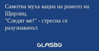 Самотна муха кацна на рамото на...