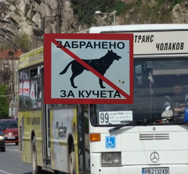 Кондуктор по линия №99 изхвърли куче водач от автобус, било колкото куфар