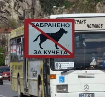 Кондуктор по линия №99 изхвърли куче водач от автобус, било колкото куфар