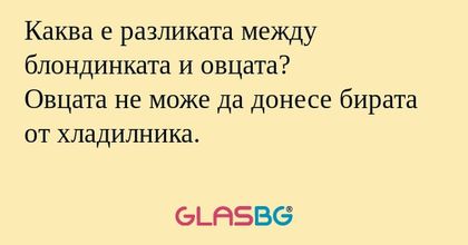 Каква е разликата между блондинката...