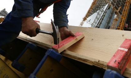 Белгийци и французи жилят родни губертчии