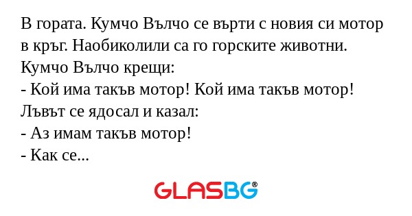 В гората. Кумчо Вълчо се върти...
