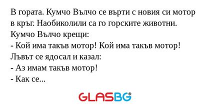 В гората. Кумчо Вълчо се върти...