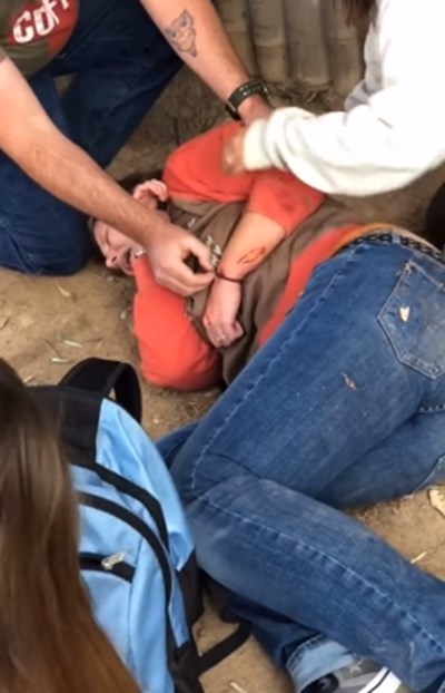 Ягуар нападна жена в зоопарк, прескочила ограда, за да си направи селфи с животното