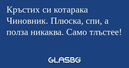 Кръстих си котарака Чиновник. Плюска...