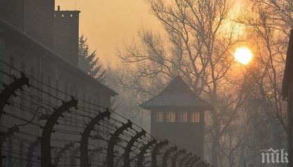 Унгарски туристи опитаха да откраднат тухли от Освиенцим