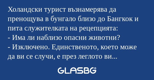 Холандски турист възнамерява да...