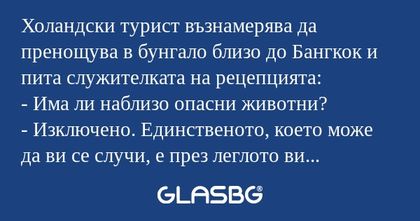 Холандски турист възнамерява да...