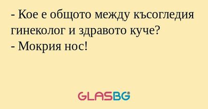 Кое е общото между късогледия...