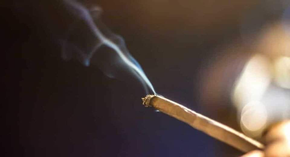 Близо 600 хил. българи са пушили или пушат канабис! 40 хил. не могат без дозата кокаин, хероин…