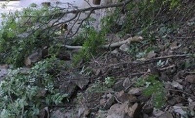 Откриха трупа на мистериозно изчезнал мъж в Монтанско
