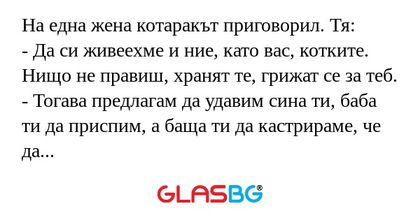 На една жена котаракът приговорил...