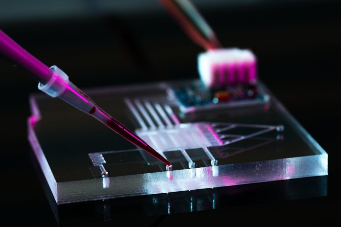 Нов вид гел за 3D принтери има бъдеще в роботиката и медицината