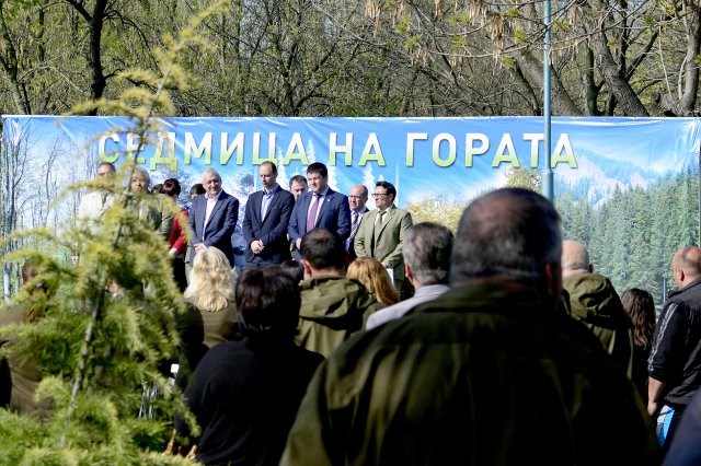Зелено по пловдивски: Да погазим тревата в деня на гората (СНИМКА)