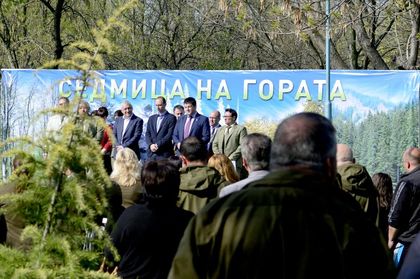 Зелено по пловдивски: Да погазим тревата в деня на гората (СНИМКА)