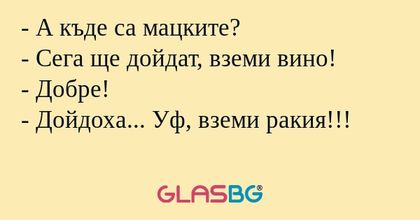 А къде са мацките? - Сега ще...