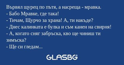 Вървял щурец по пътя, а насреща...