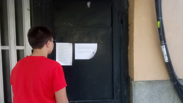 Притеснени пловдивчани: Не хранете котките, сеят бълхи!