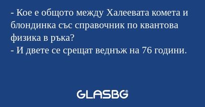 Кое е общото между Халеевата...