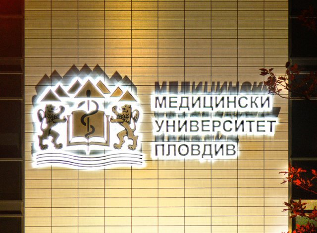 Битовите навици водят до хронични заболявания