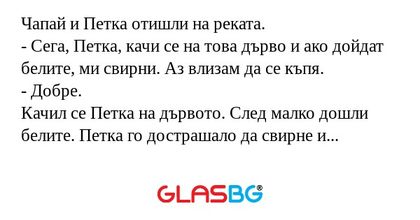 Чапай и Петка отишли на реката...