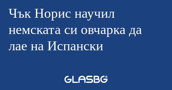 Чък Норис научил немската си овчарка...