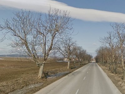 Утре отварят офертите за пътя Белица - Загражден