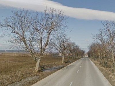 Утре отварят офертите за пътя Белица - Загражден
