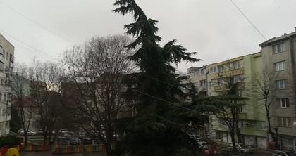 Буря се изви над Варна, небето потъмня, силен вятър и дъжд