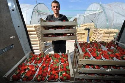 NZZ: В Швейцария предложиха 64-часова работна седмица