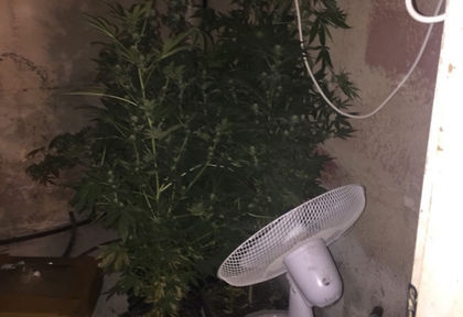 Удар по наркотиците! Задържаха трима в София, тровили с дрога наляво и надясно (СНИМКИ/ВИДЕО)