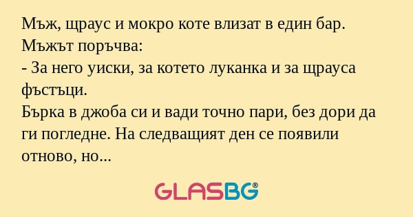 Мъж, щраус и мокро коте влизат...