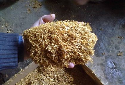 Пловдивски полицаи получиха сигнал, а като отидоха на мястото, зяпнаха от почуда