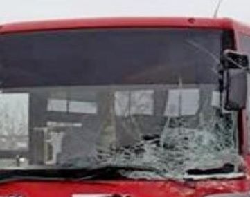 Автобус помете пенсионер на зебра в
Пловдив