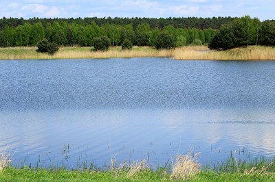 Трагедия! 10-годишно момче се удави във водоем в Радомирско