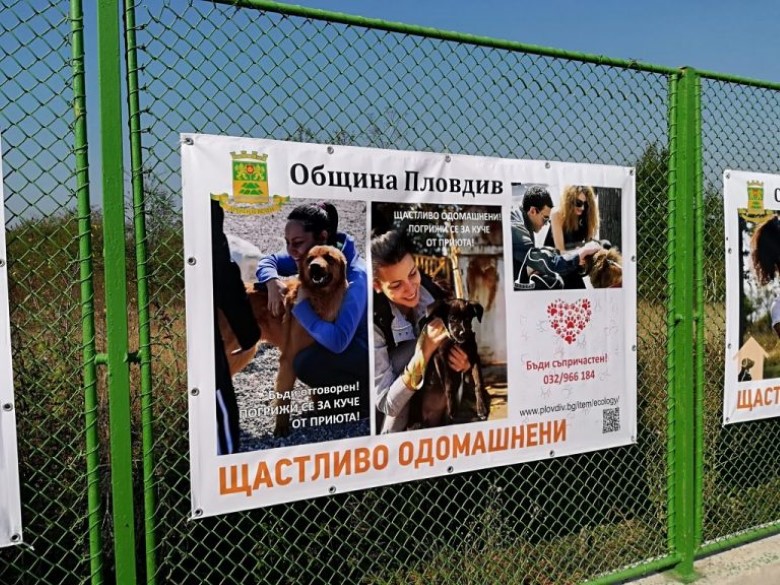 Пловдив: През 2019 година приютът на ОП „Зооветеринарен комплекс“ ще бъде разширен