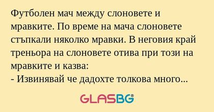 Футболен мач между слоновете и...