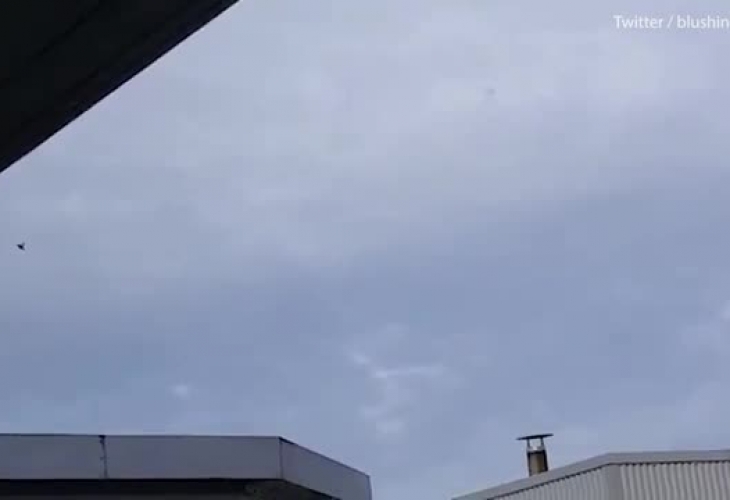 Екшън във въздуха! Британски изтребители "Тайфун" излетяха, за да спасяват самолет на Ryanair (СНИМКИ)