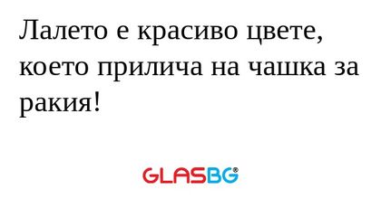 Лалето е красиво цвете, което прилича...